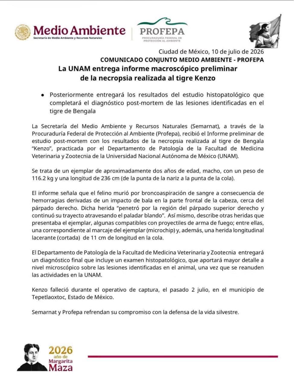 https://www.digitalmex.mx/images/2026/JULIO/11/ss.jpeg