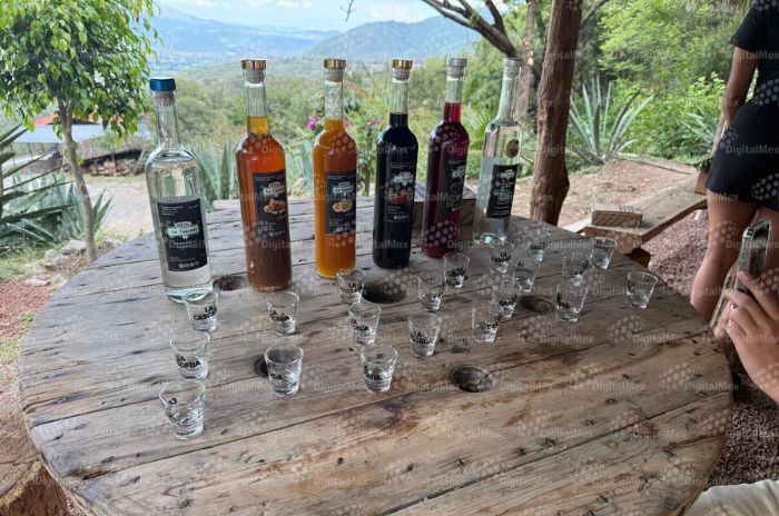 mezcal