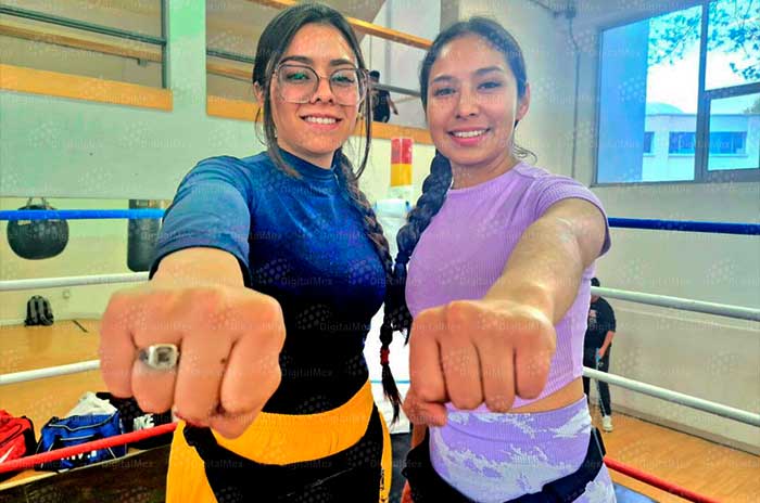 pugilistas 2