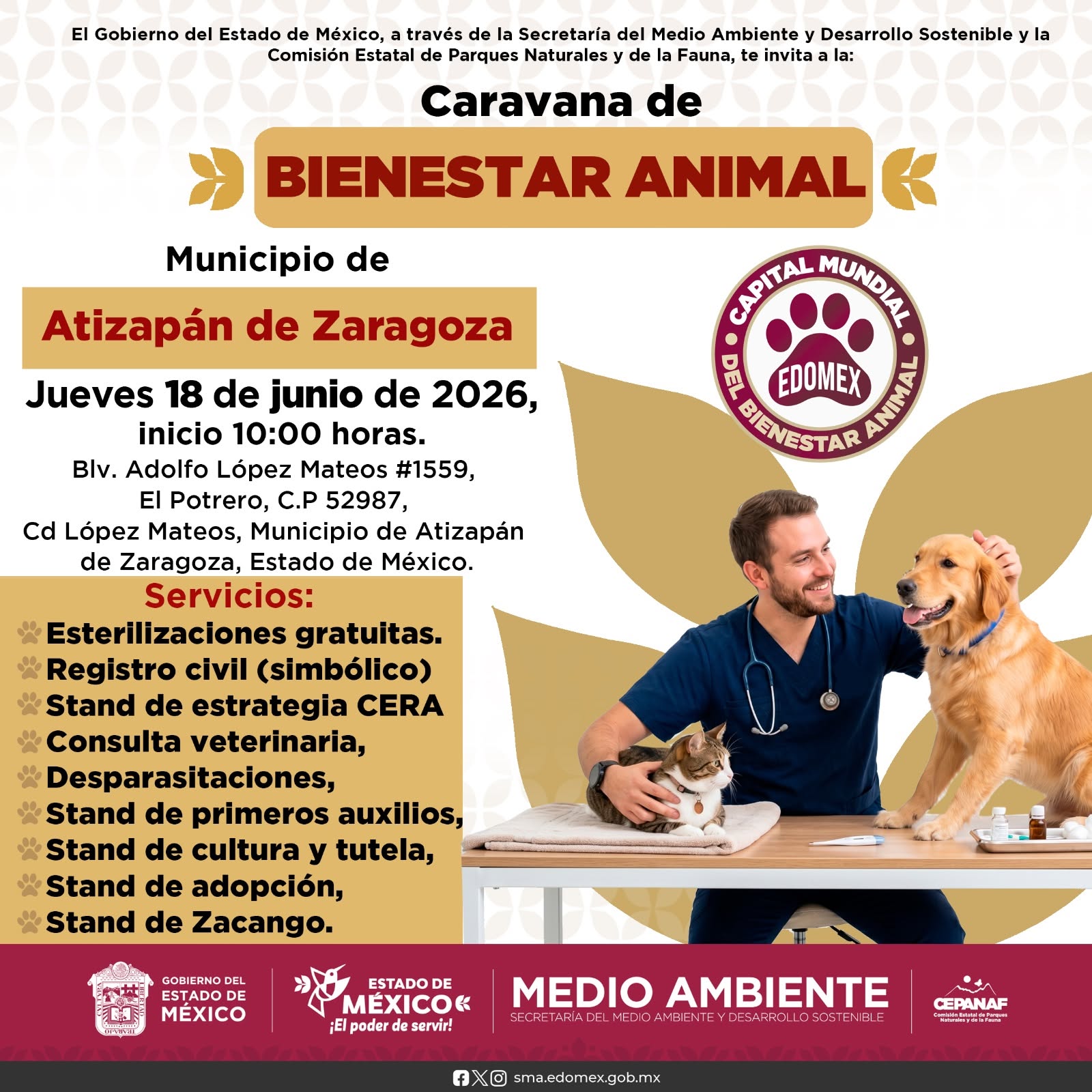 animales