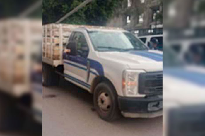 camioneta