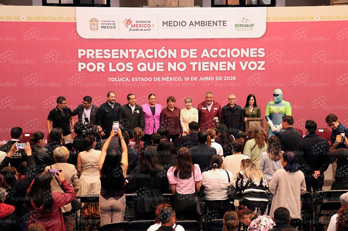 presentan