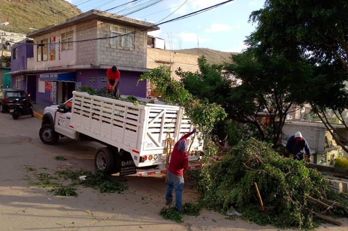 trabajos 1