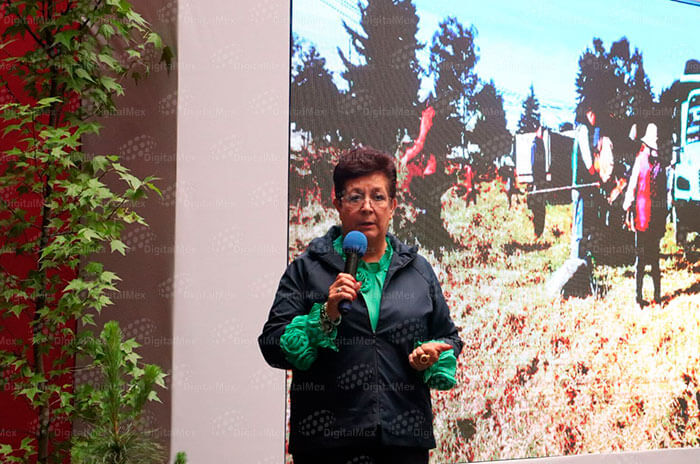 directora medio aibne 1
