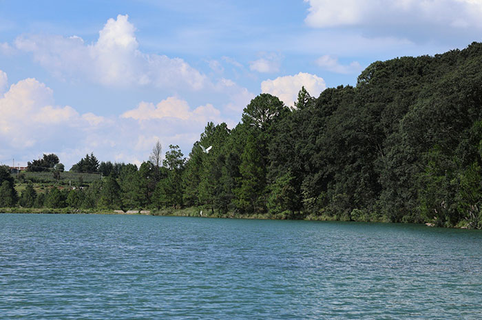 laguna