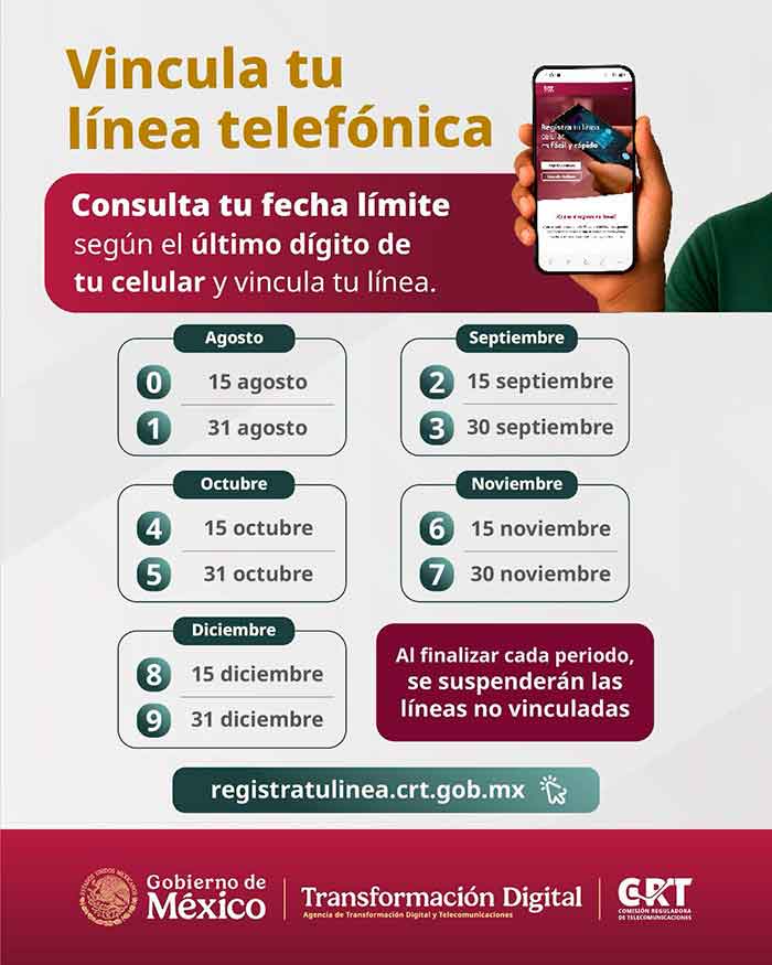 celular1
