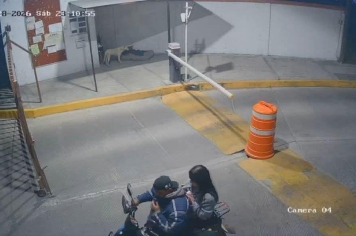 metepec 1