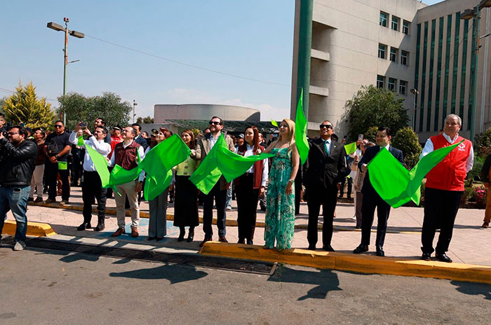 01 ola verde edomex