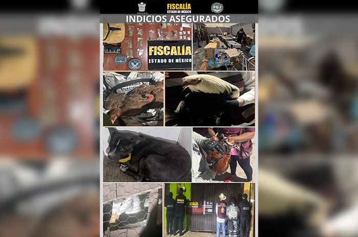 indicios