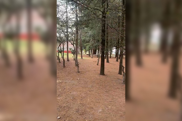 parque