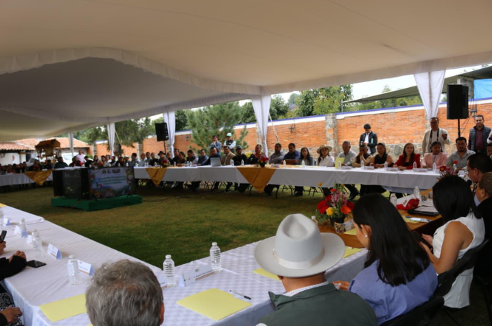 coatepec 1