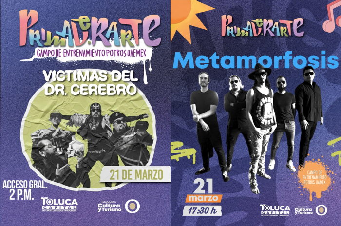 festival 2