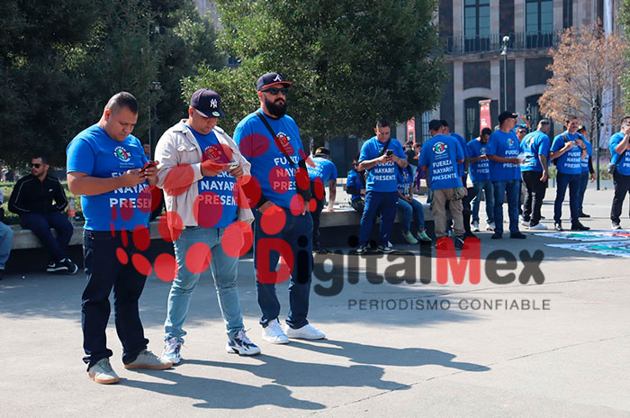 protesta anexos