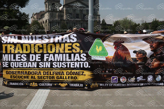 galleros3 1