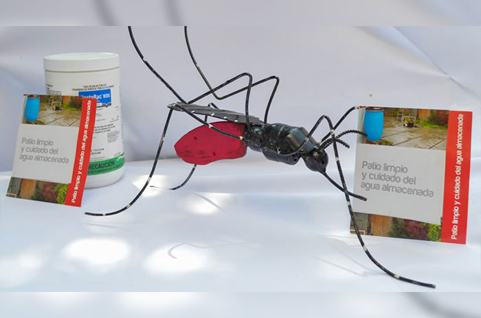 mosquito