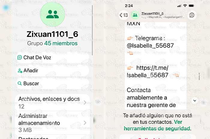 fraude 4