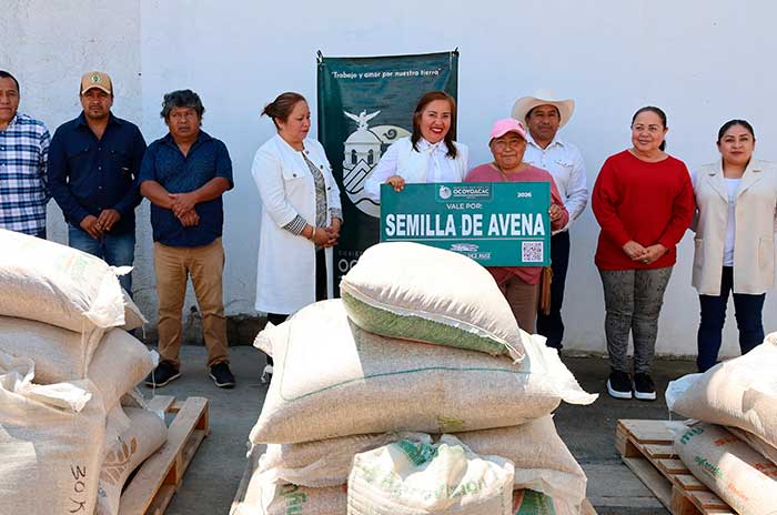 05 avena 4
