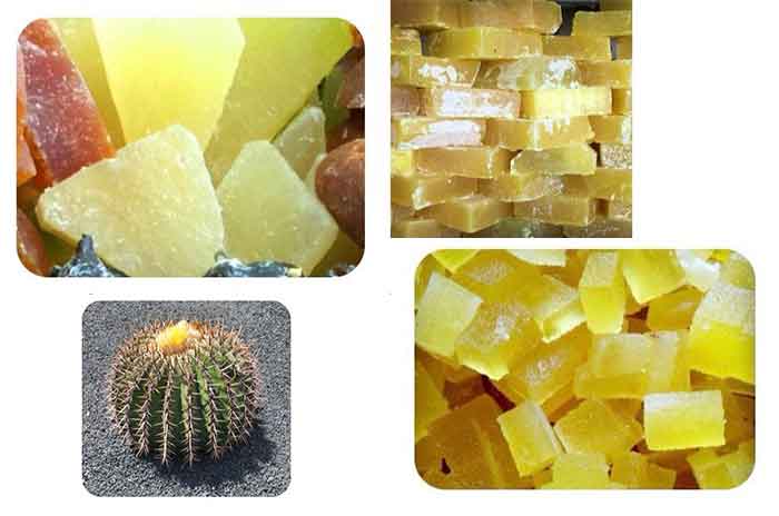 Este_dulce_típico_y_tradicional_mexicano_está_en_6.jpg