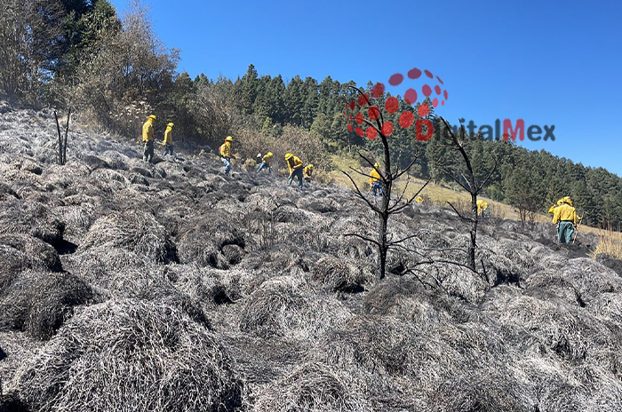Se_duplican_incendios_forestales_en_Edoméx_2.png