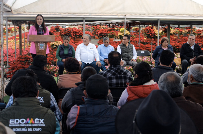 Ya huele a Navidad Inicia venta formal de nochebuena en Edoméx