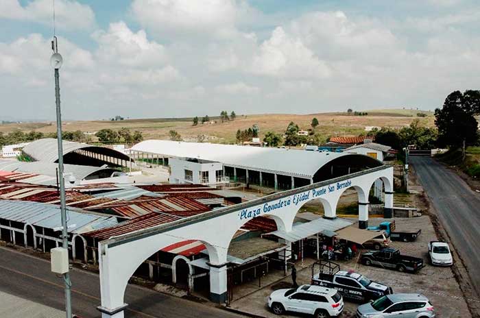 almoloya6.jpg