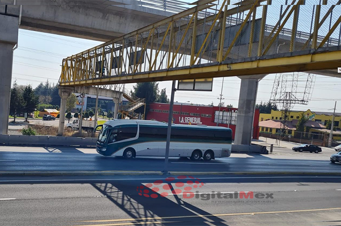 autobuses-2-1ok.jpg