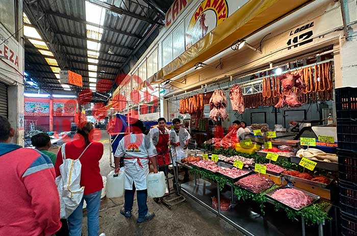 central-abasto-toluca2.jpg