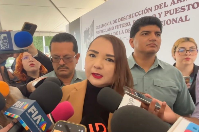 desaparecidos 1