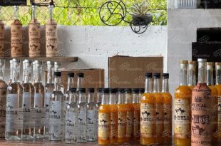 Presentación de la Ruta del Mezcal y la Flor en el sur del Estado de México rumbo al Mundial 2026.