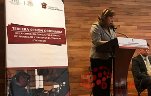 Rehabilitarán 50 hornos panaderos en Tecomatlán