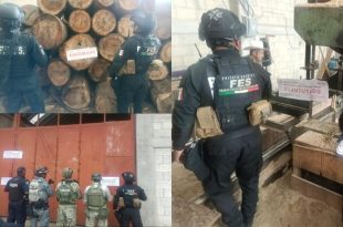 Clausuran predio en Xonacatlán y aseguran madera, maquinaria y un vehículo en operativo contra la tala clandestina.