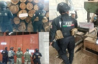 Clausuran predio en Xonacatlán y aseguran madera, maquinaria y un vehículo en operativo contra la tala clandestina.