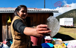 Frío que cala: hasta -5 grados en comunidades del #NevadoDeToluca