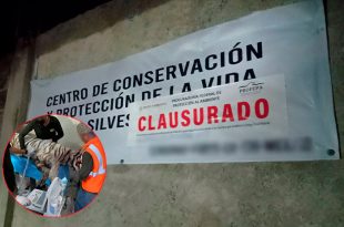 La Profepa detectó irregularidades en las instalaciones y en el Plan de Manejo del PIMVS de Tepetlaoxtoc, por lo que ordenó la clausura total temporal del centro Animal Experience.