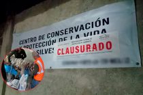 La Profepa detectó irregularidades en las instalaciones y en el Plan de Manejo del PIMVS de Tepetlaoxtoc, por lo que ordenó la clausura total temporal del centro Animal Experience.