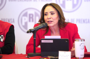 Cristina Ruiz Sandoval advierte sobre eliminación de registros de desaparecidos.