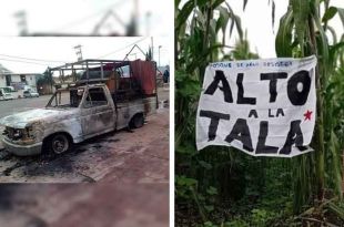 Los hechos ocurrieron cuando vecinos descubrieron una unidad que transportaba madera de manera ilícita.