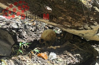Los restos fueron encontrados en un paraje de difícil acceso en la zona sur del Estado de México; autoridades no descartan que haya más víctimas