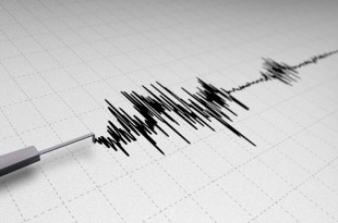 A raíz del sismo, se emitió una alerta de tsunami para Puerto Rico y las Islas Vírgenes, mientras que en México, la Secretaría de Marina advirtió sobre posibles variaciones en el nivel del mar en las costas del Caribe.