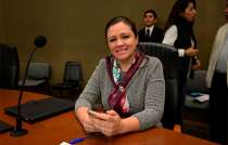 Así lo dio a conocer la presidenta provisional del Instituto Electoral del Estado de México (IEEM)