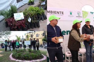 Entregan huertos familiares, árboles y reconocen a escuelas y brigadistas