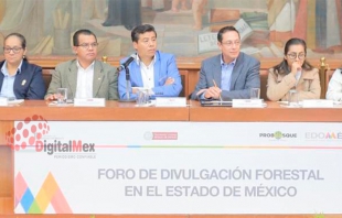 "Veda forestal no resolvería problemas de tala clandestina en Edomex": legislador