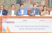 "Veda forestal no resolvería problemas de tala clandestina en Edomex": legislador
