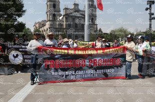 Manifestantes piden diálogo con autoridades y advierten impacto económico, mientras defienden la gallística como tradición y fuente de empleo en el Edoméx.