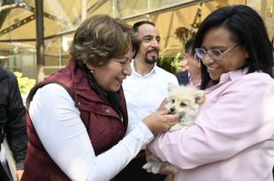 • En esta Jornada participan médicos veterinarios del Instituto de Salud del Estado de México y la Cepanaf.