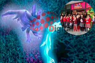 ctividades gratuitas para niños de 6 a 13 años, con áreas sobre ajolotes, genética, realidad virtual y módulos interactivos, impulsadas por COMECYT