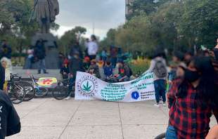 "No queremos que nos limiten ni con cantidad de plantas, ni con licencias, ni con portación de tantos gramos", comentó