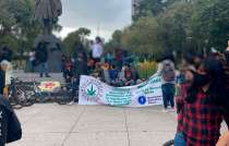 "No queremos que nos limiten ni con cantidad de plantas, ni con licencias, ni con portación de tantos gramos", comentó