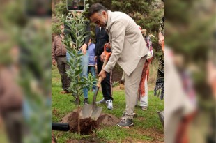 En el caso del Cerro de los Magueyes, se destinarán alrededor de 500 metros cuadrados para la siembra de nuevos árboles.