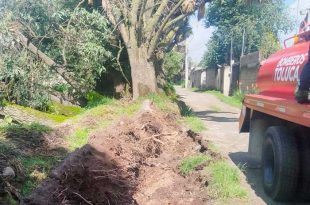 Autoridades mantienen vigilancia por árboles que aún representan riesgo en distintas zonas del municipio